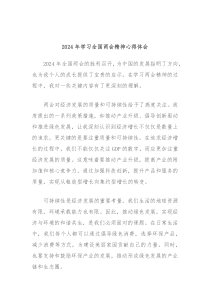 2024年学习全国两会精神心得体会
