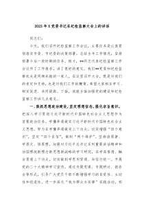20XX年X党委书记在纪检监察大会上的讲话