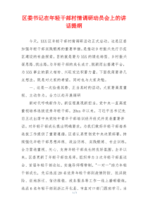 区委书记在年轻干部村情调研动员会上的讲话提纲