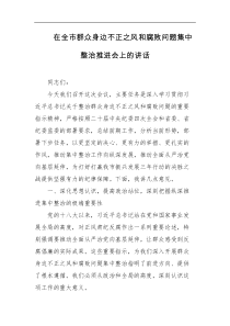 在全市群众身边不正之风和腐败问题集中整治推进会上的讲话