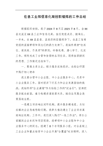 在县工业和信息化局挂职锻炼的工作总结