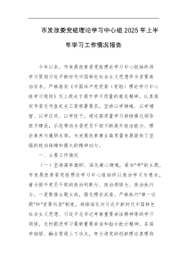 市发改委党组理论学习中心组2025年上半年学习工作情况报告