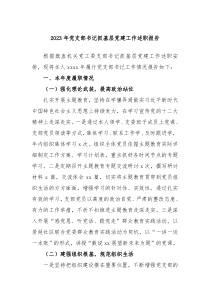 2023年党支部书记抓基层党建工作述职报告
