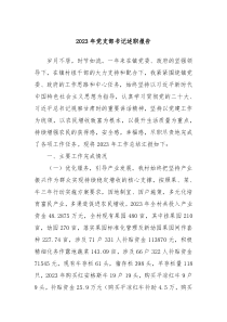 2023年党支部书记述职报告