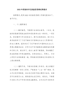 2023年党组织书记抓基层党建述职报告