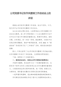20XX年公司党委书记在作风整顿工作启动会上的讲话