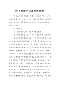 2023年度党组织书记抓基层党建述职报告