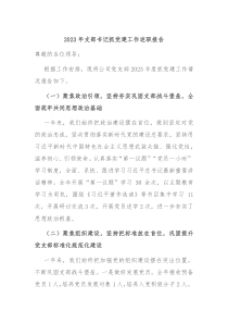 2023年支部书记抓党建工作述职报告