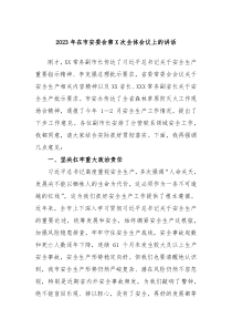 20XX年在市安委会第X次全体会议上的讲话