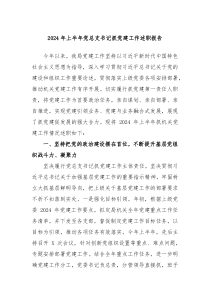 2024年上半年党总支书记抓党建工作述职报告