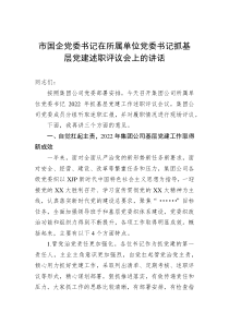 20XX年市国企党委书记在所属单位党委书记抓基层党建述职评议会上的讲话