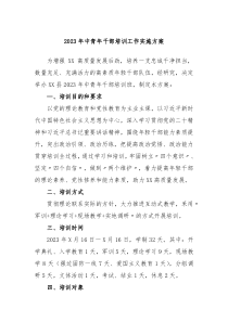 20XX年中青年干部培训工作实施方案