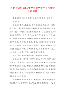 县委书记在2025年全县安全生产工作会议上的讲话