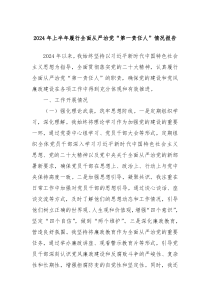 2024年上半年履行全面从严治党第一责任人情况报告