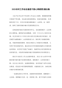 2篇20XX农村工作会议基层干部心得感想