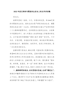 20XX年度支部的专题组织生活会上的点评讲话稿