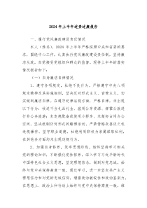 2024年上半年述责述廉报告