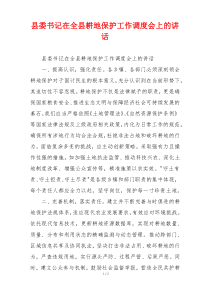 县委书记在全县耕地保护工作调度会上的讲话