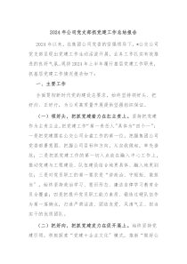 2024年公司党支部抓党建工作总结报告