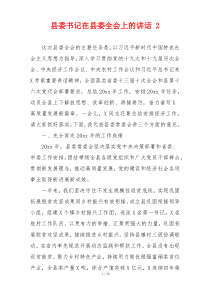 县委书记在县委全会上的讲话 2
