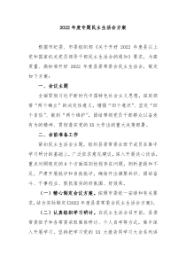 20XX年度专题民主生活会方案