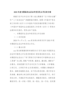 20XX年度专题组织生活会和党员民主评议的方案