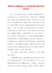 县委书记在参加县人大会代表团分团讨论时的讲话