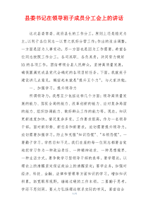 县委书记在领导班子成员分工会上的讲话
