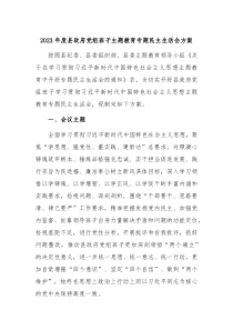 20XX年度县政府党组班子主题教育专题民主生活会方案