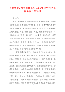 县委常委、常务副县长在2025年安全生产工作会议上的讲话