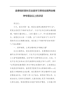 县委组织部长在全县学习贯彻全国两会精神专题会议上的讲话