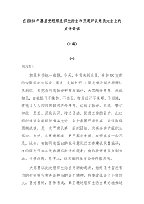2篇在20XX年基层党组织组织生活会和开展评议党员大会上的点评讲话