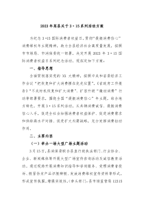 20XX年某县关于315系列活动方案