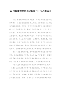 XX市检察院党组书记收看二十大心得体会