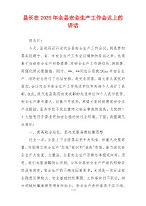 县长在2025年全县安全生产工作会议上的讲话