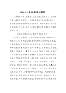 20XX年XX县XX镇述职述廉报告2