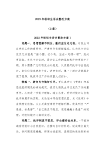 2篇20XX年组织生活会整改方案