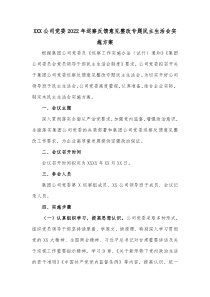 XXX公司党委20XX年巡察反馈意见整改专题民主生活会实施方案