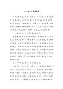 20XX年个人述职报告