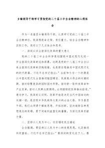 乡镇领导干部学习贯彻党的二十届三中全会精神的心得体会