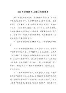 20XX年主要领导个人述廉述职述责报告