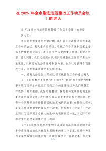 在2025 年全市推进巡视整改工作动员会议上的讲话