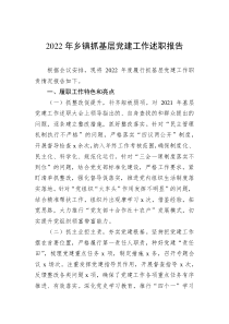 20XX年乡镇抓基层党建工作述职报告