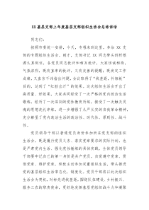 XX基层支部上年度基层支部组织生活会总结讲话