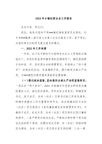 20XX年乡镇纪委全会工作报告