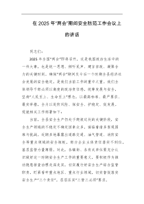 在2025年两会期间安全防范工作会议上的讲话