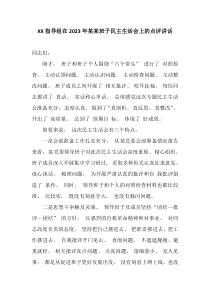 XX指导组在20XX年某某班子民主生活会上的点评讲话