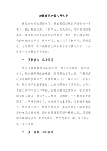 加强政治建设心得体会
