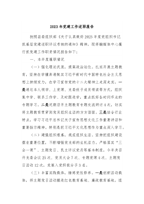 20XX年党建工作述职报告