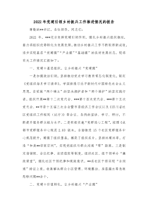 20XX年党建引领乡村振兴工作推进情况的报告